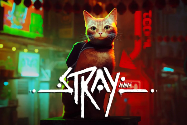 Stray